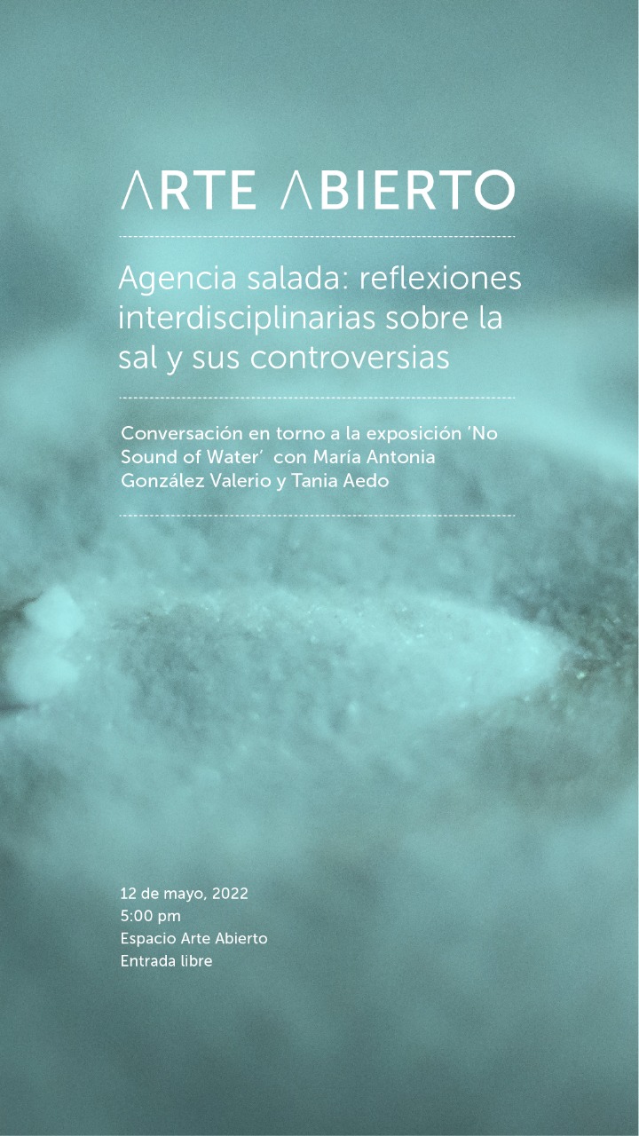 Conversación con Tania Aedo y Maria Antonia González Valerio con motivo de cierre de la exposición "No Sound of Water" del colectivo Troika