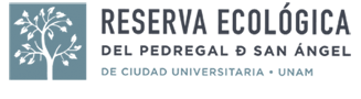 Logo REPSA