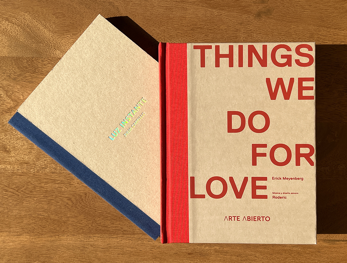 ArteAbierto. Un libro es... vol.3, Programa editorial: Luz Instante y Things We Do for Love